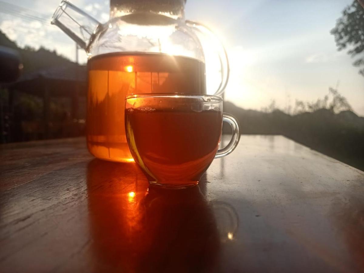 Long Co Tran - Homestay&Tea Ceremony Loung Co Εξωτερικό φωτογραφία